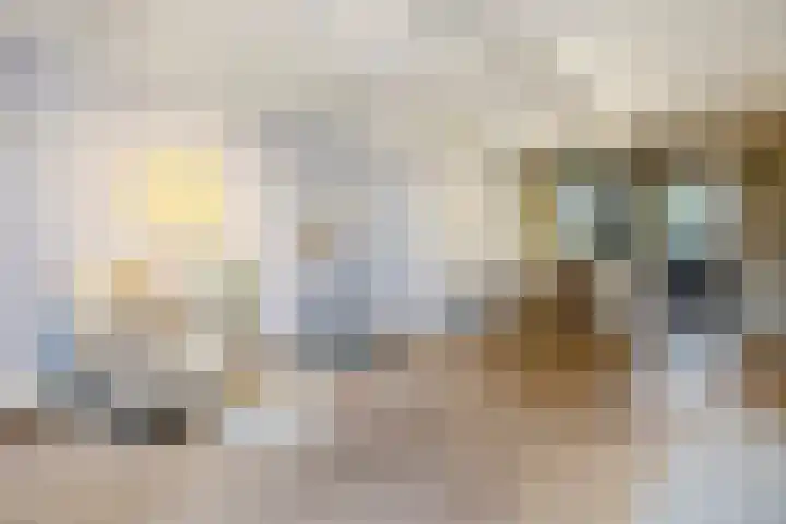 Moerbeihof 18 Papendrecht thumbnail 8