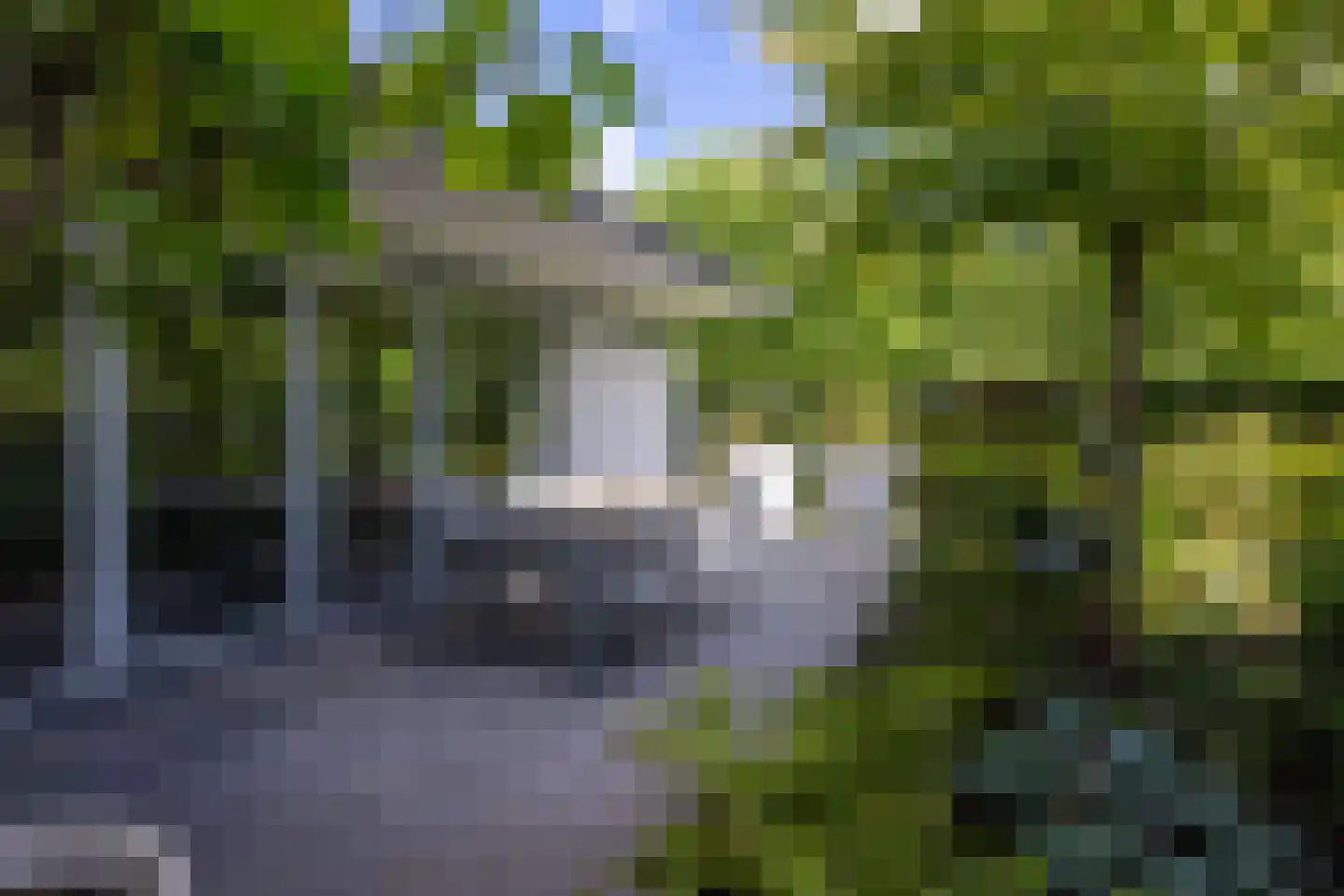 Moerbeihof 3 Bergschenhoek thumbnail 10