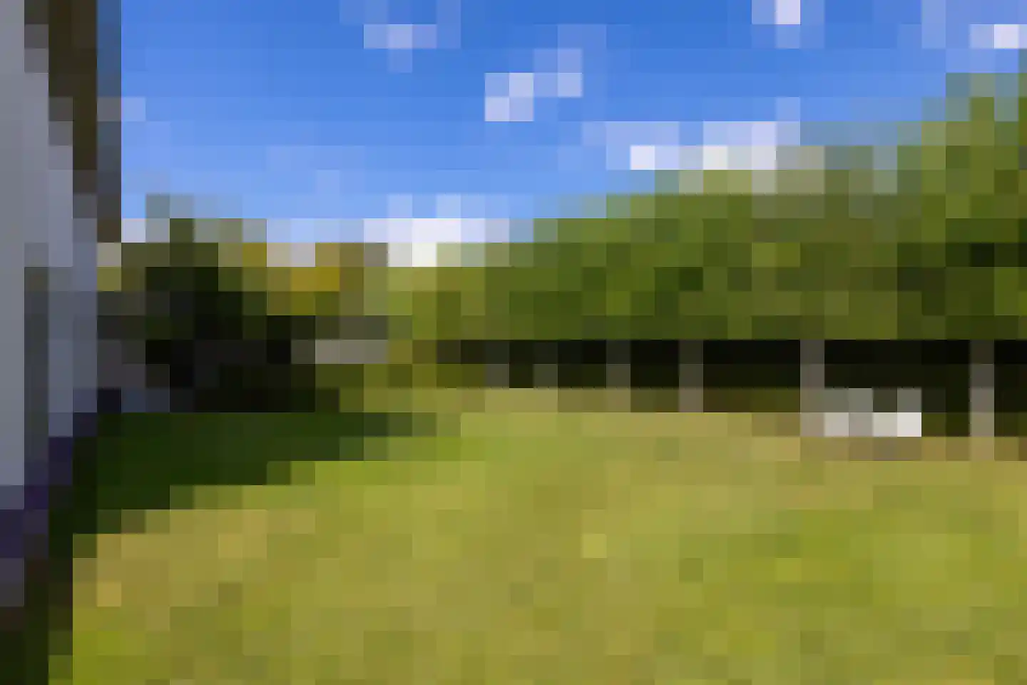 Moerbeihof 3 Bergschenhoek thumbnail 11