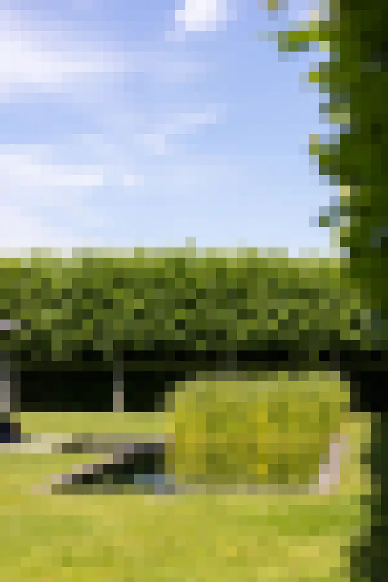 Moerbeihof 3 Bergschenhoek thumbnail 12