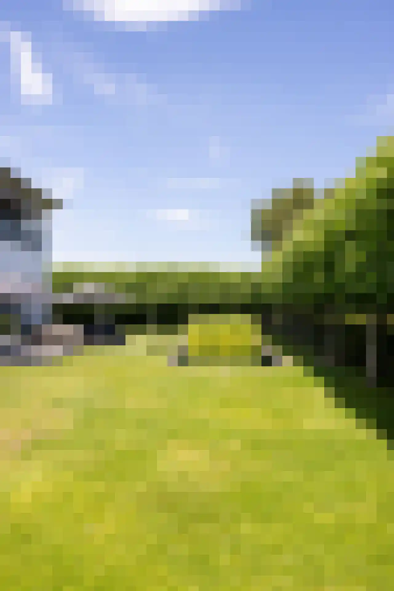 Moerbeihof 3 Bergschenhoek thumbnail 13