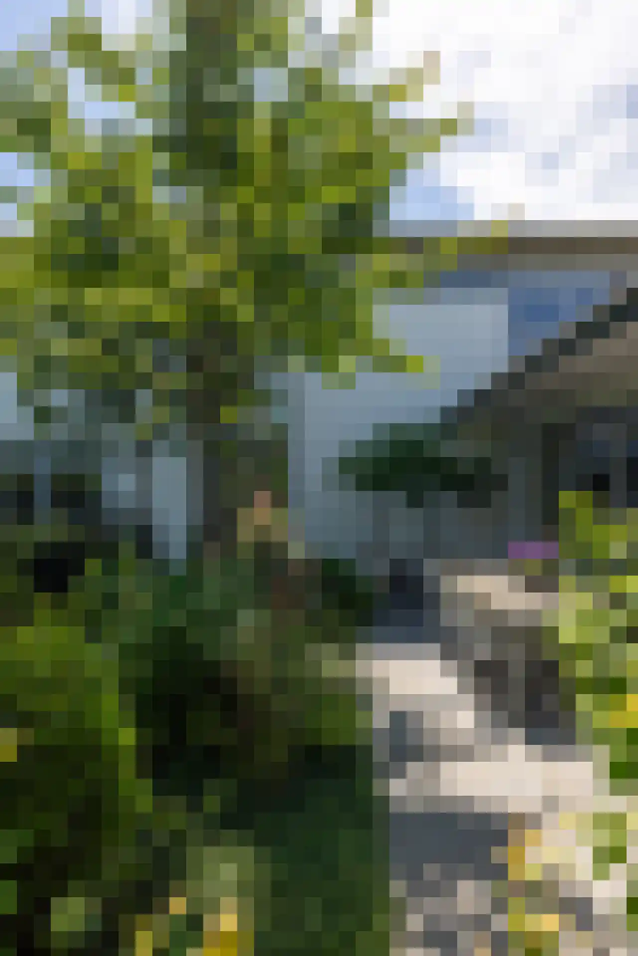 Moerbeihof 3 Bergschenhoek thumbnail 15