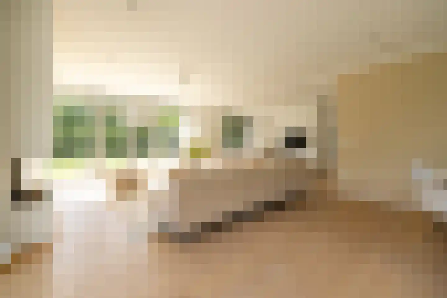 Moerbeihof 3 Bergschenhoek thumbnail 20