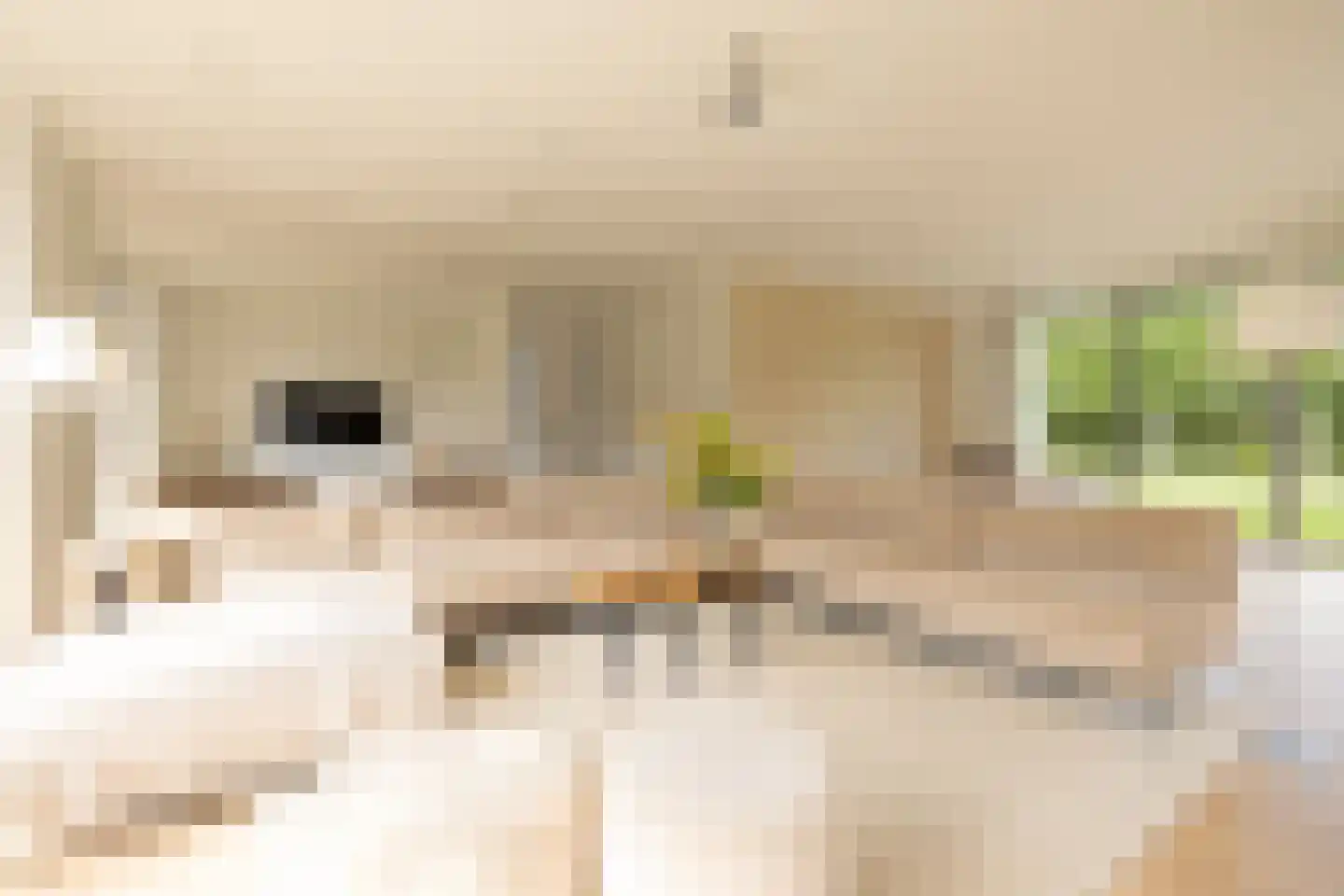 Moerbeihof 3 Bergschenhoek thumbnail 21