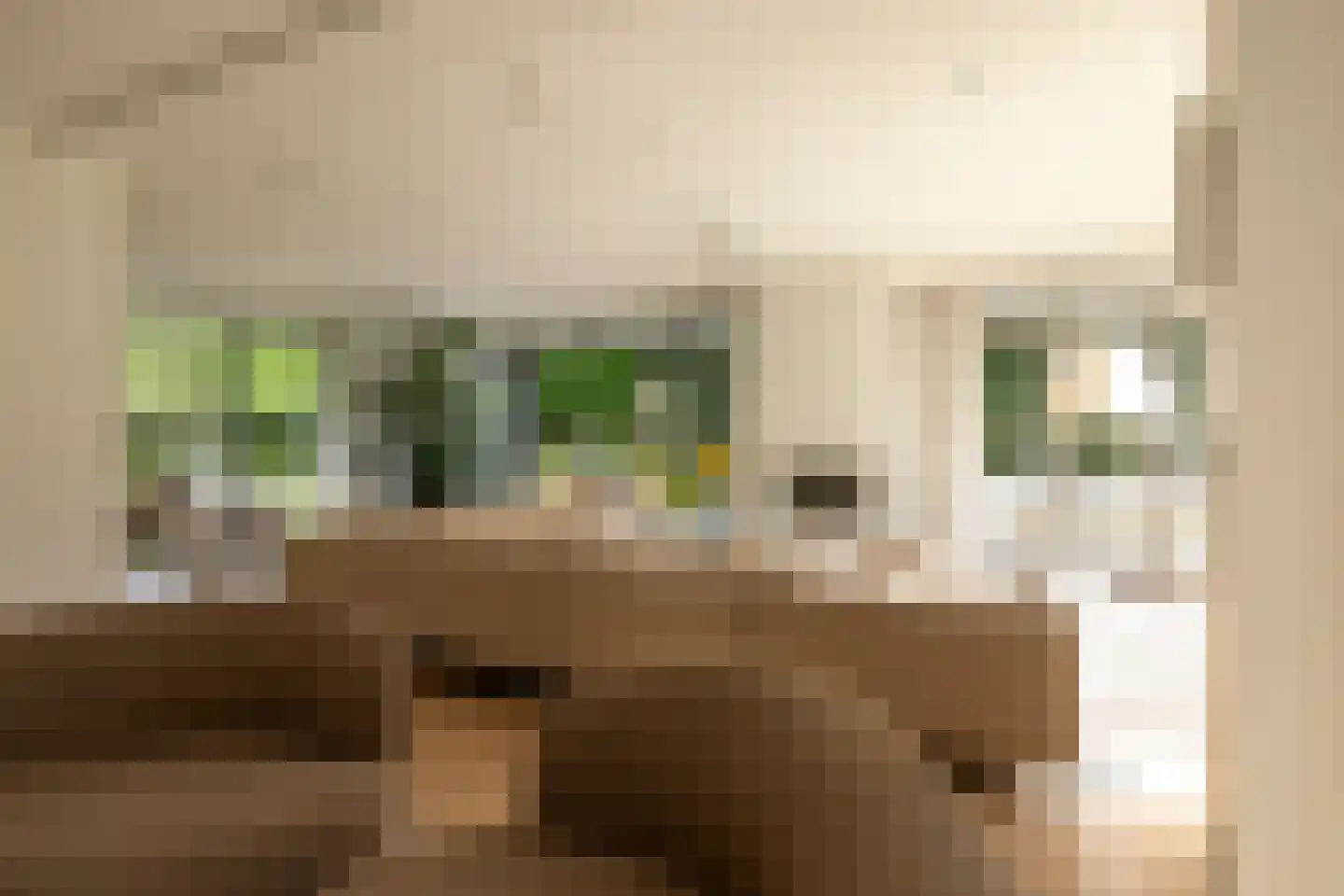 Moerbeihof 3 Bergschenhoek thumbnail 22