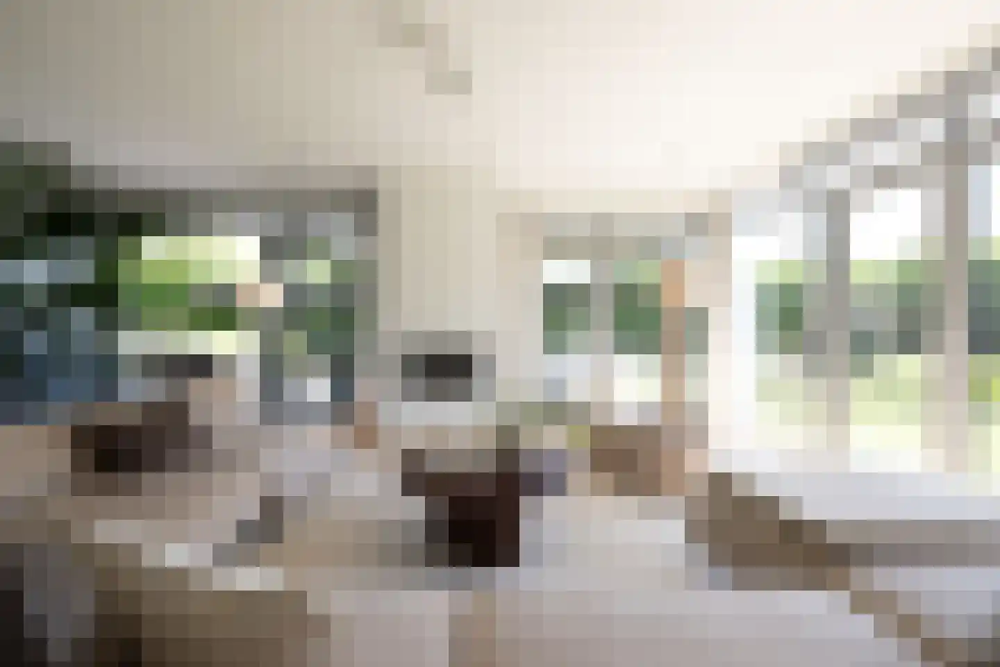 Moerbeihof 3 Bergschenhoek thumbnail 22