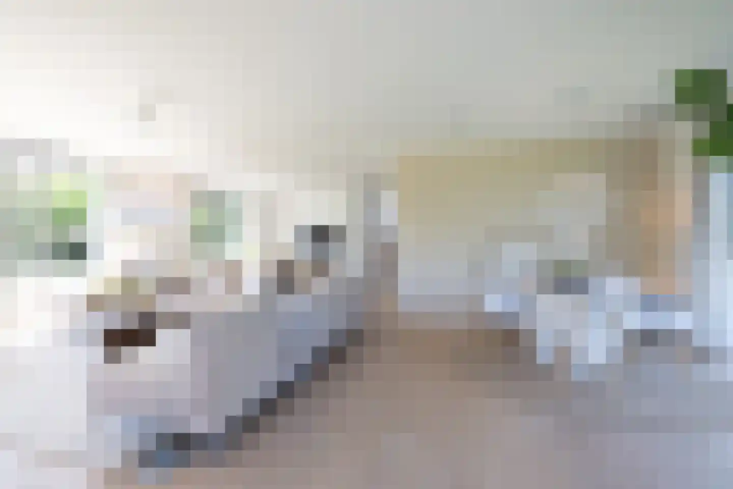 Moerbeihof 3 Bergschenhoek thumbnail 24