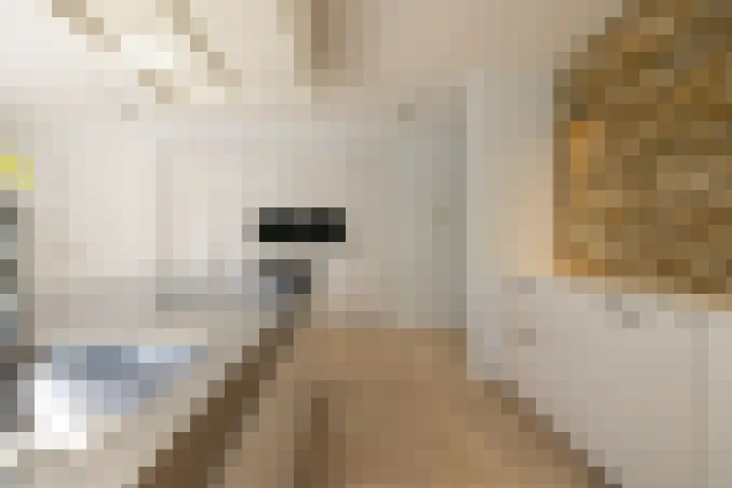 Moerbeihof 3 Bergschenhoek thumbnail 28