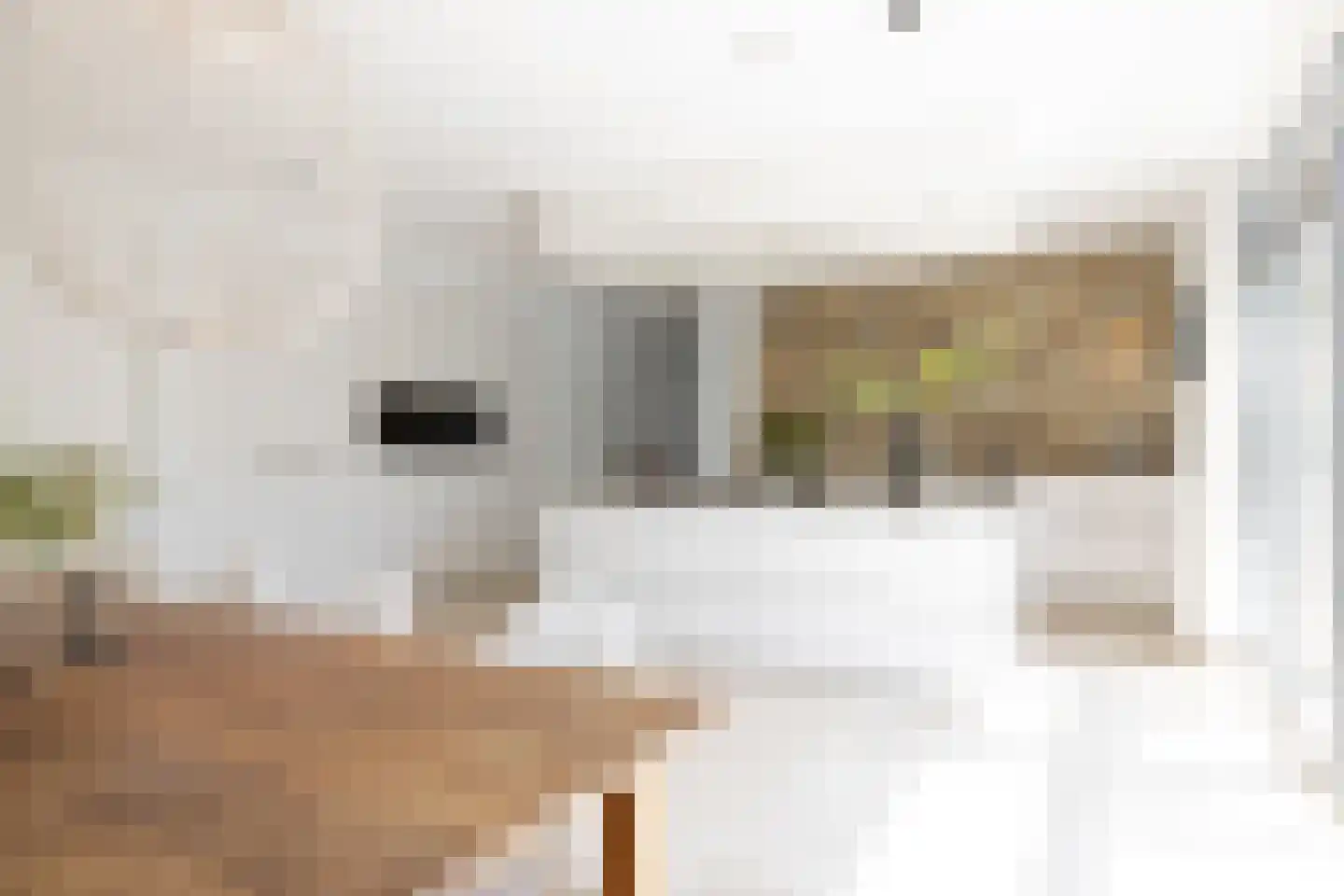 Moerbeihof 3 Bergschenhoek thumbnail 31