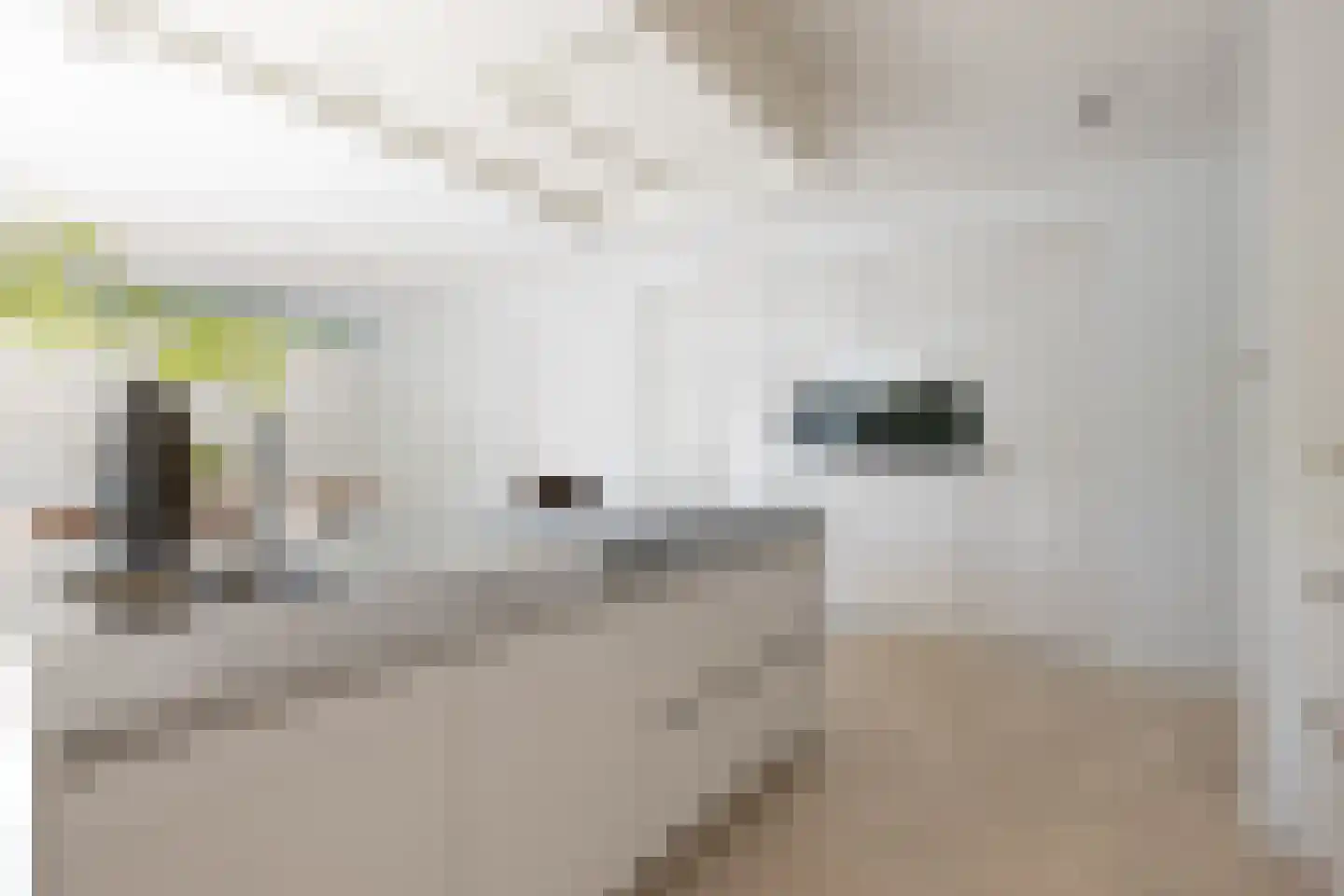 Moerbeihof 3 Bergschenhoek thumbnail 33