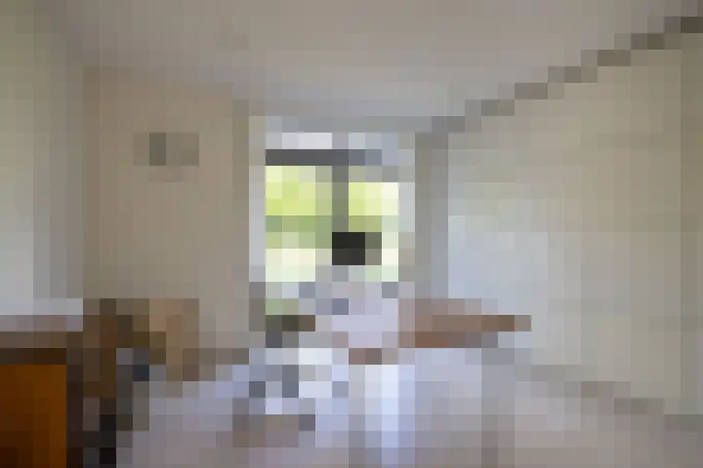 Moerbeihof 3 Bergschenhoek thumbnail 36