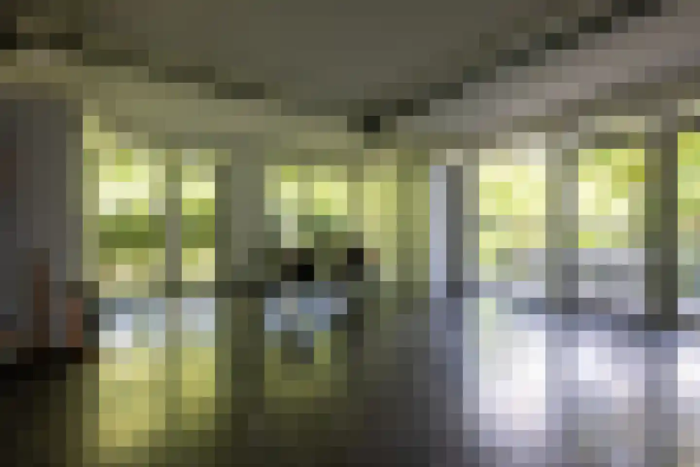 Moerbeihof 3 Bergschenhoek thumbnail 42