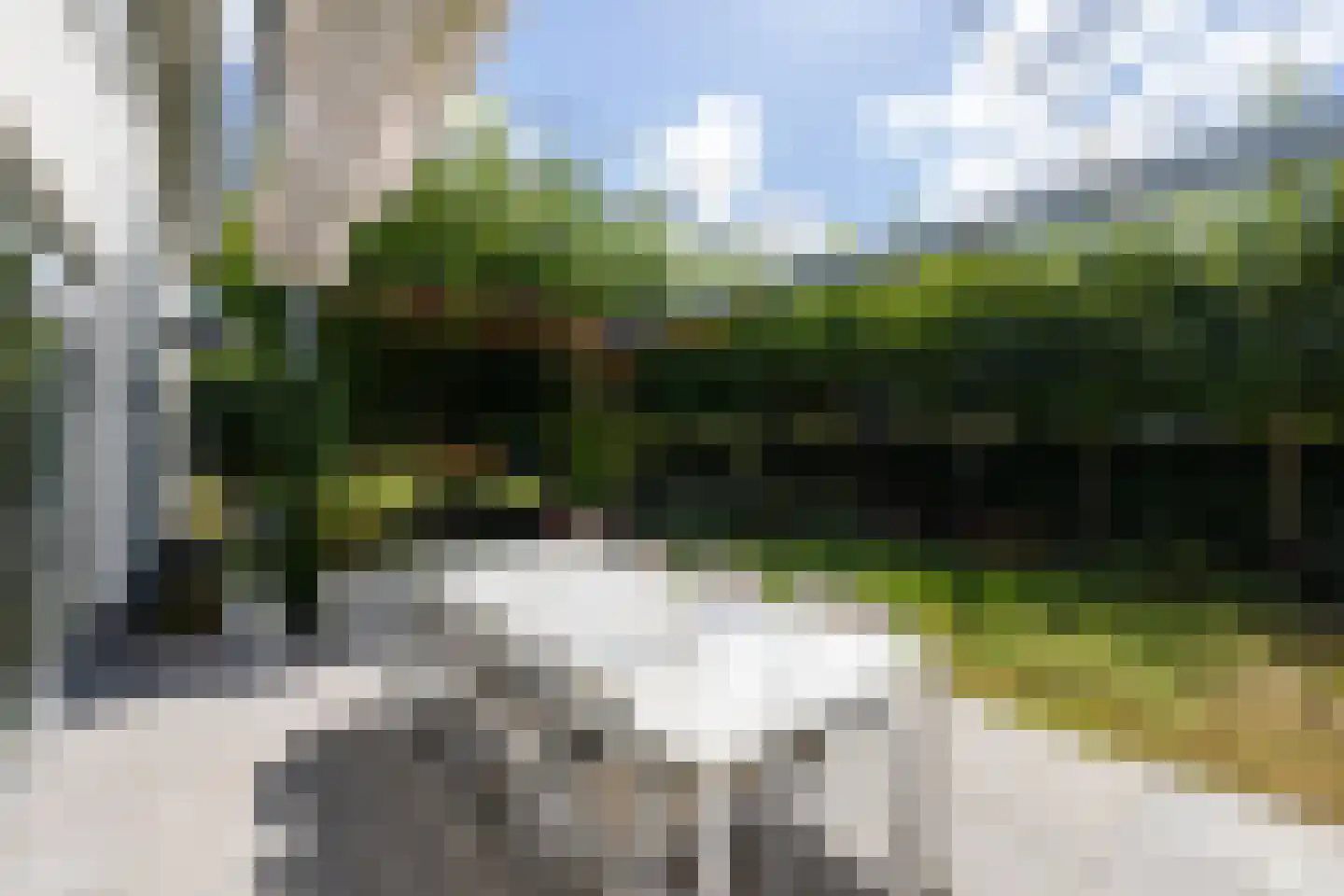Moerbeihof 3 Bergschenhoek thumbnail 44