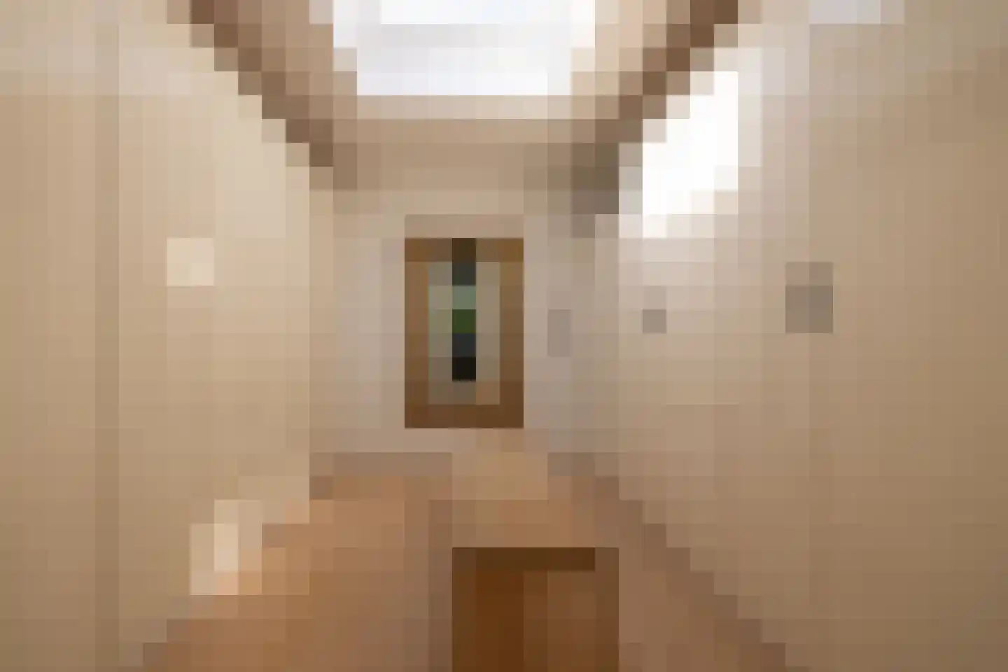 Moerbeihof 3 Bergschenhoek thumbnail 54
