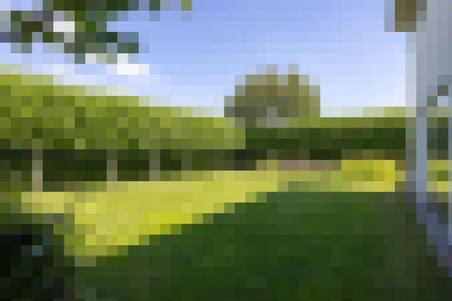 Moerbeihof 3 Bergschenhoek thumbnail 72