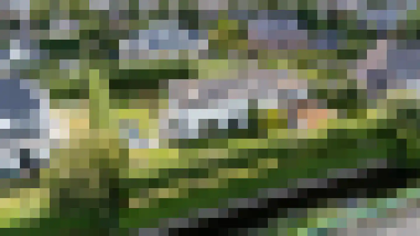 Moerbeihof 3 Bergschenhoek thumbnail 78