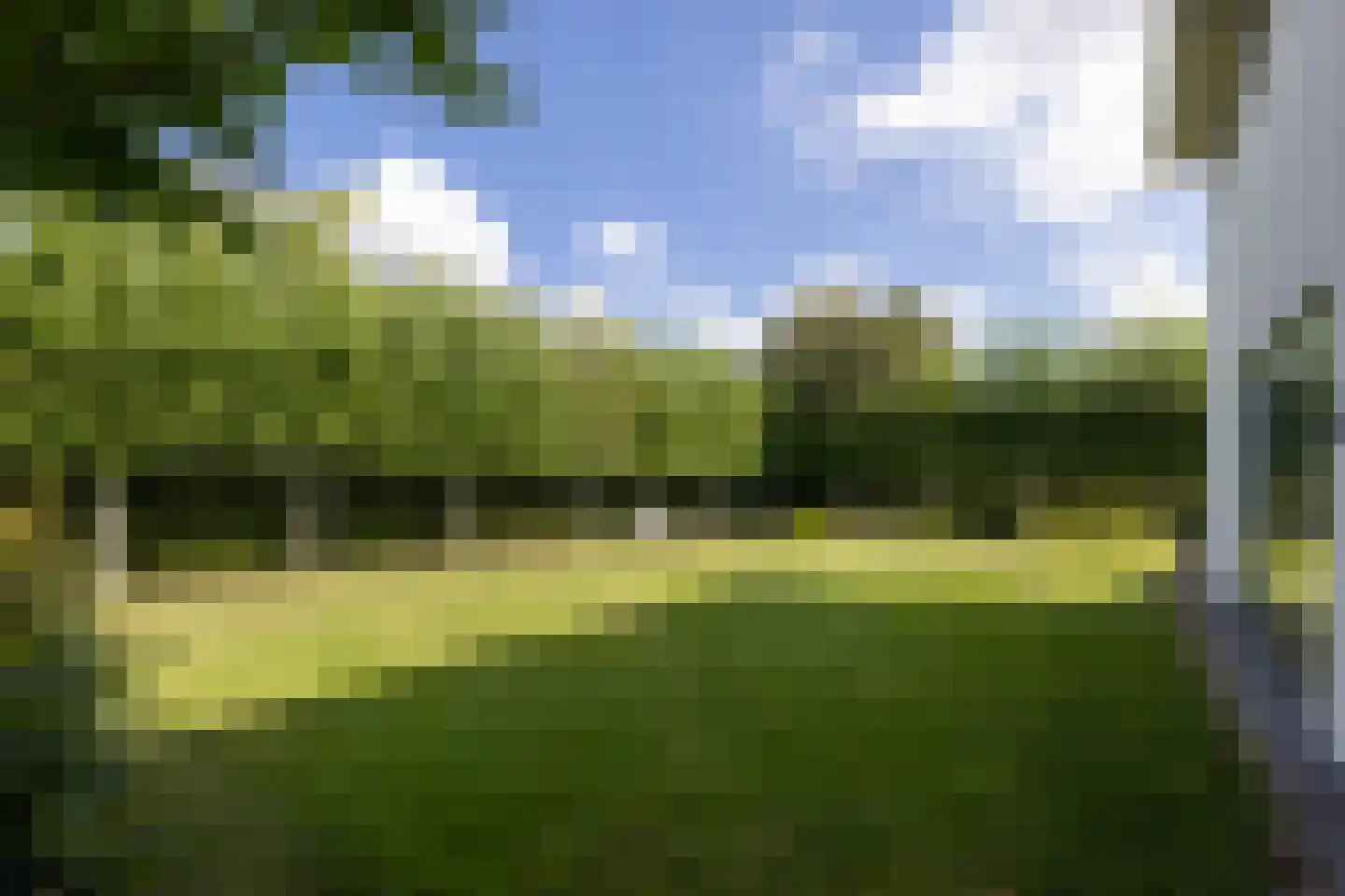 Moerbeihof 3 Bergschenhoek thumbnail 9