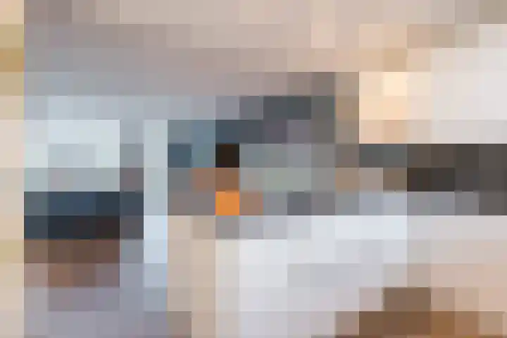 Moerbeihof 30 Papendrecht thumbnail 10