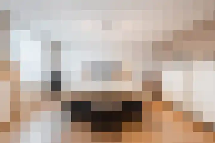 Moerbeihof 30 Papendrecht thumbnail 15