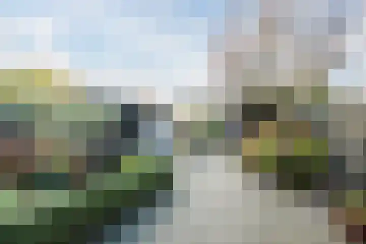 Moerbeihof 30 Papendrecht thumbnail 31