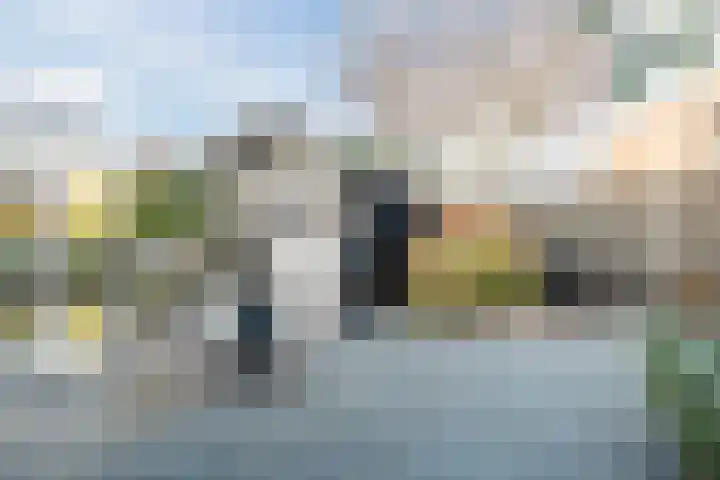 Moerbeihof 30 Papendrecht thumbnail 35