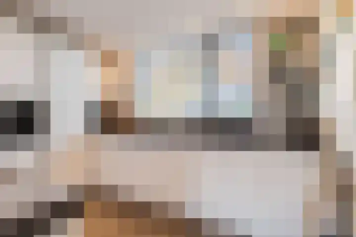 Moerbeihof 30 Papendrecht thumbnail 9