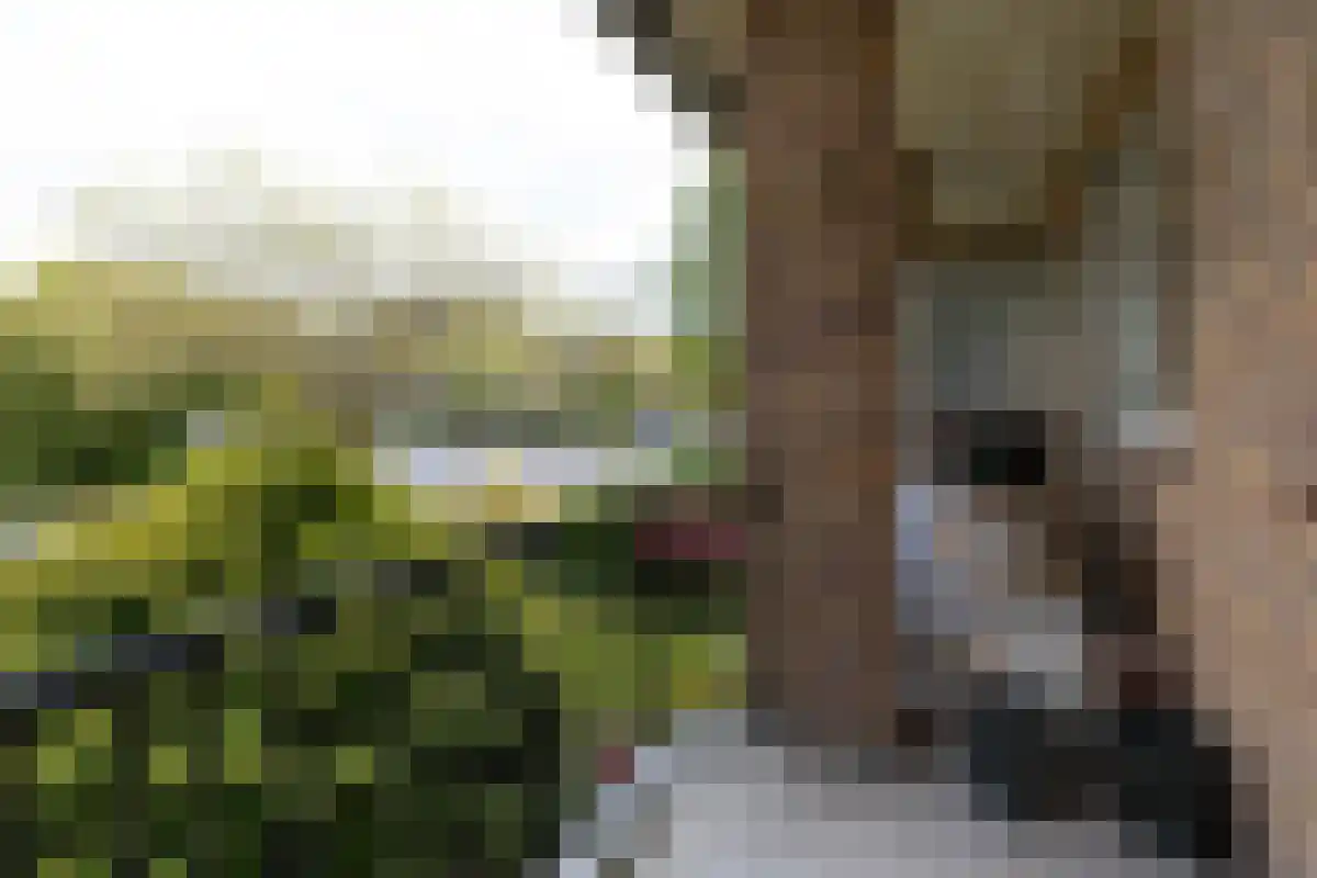 Moerbeilaan 12 Hilversum thumbnail 5