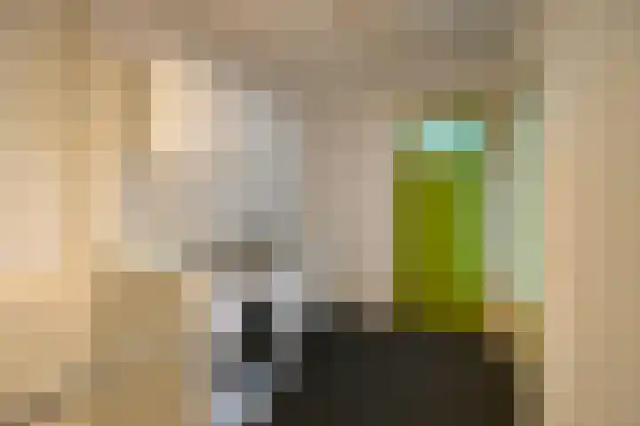 Moerbeilaan 16 Hilversum thumbnail 10