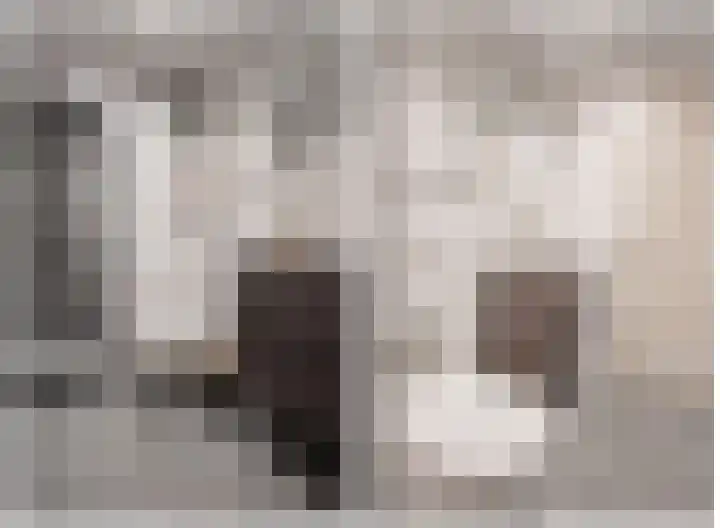 Moerbeilaan 18 Neer thumbnail 14