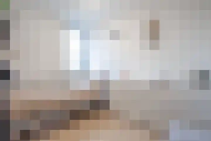 Moerbeilaan 18 Neer thumbnail 19