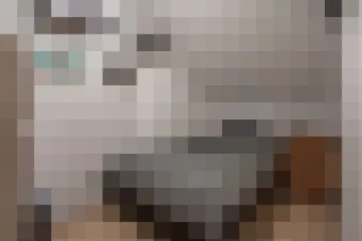 Moerbeilaan 18 Neer thumbnail 20