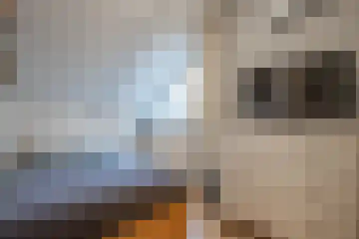 Moerbeilaan 18 Neer thumbnail 21