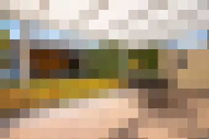 Moerbeilaan 18 Neer thumbnail 29
