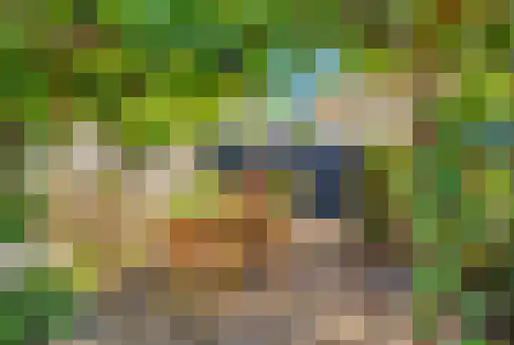 Moerbeilaan 41 Hilversum thumbnail 35