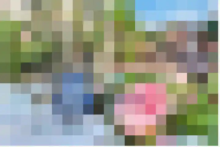 Moerbeilaan 41 Hilversum thumbnail 36
