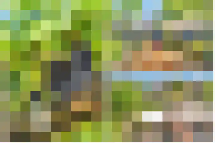 Moerbeilaan 41 Hilversum thumbnail 39