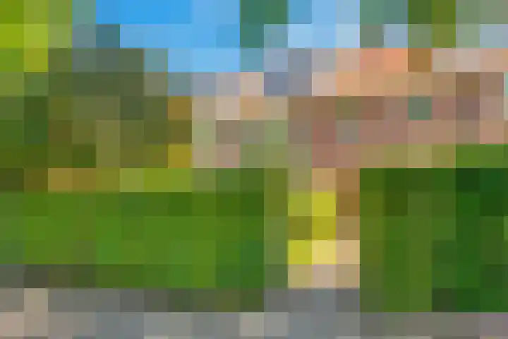 Moerbeilaan 41 Hilversum thumbnail 45