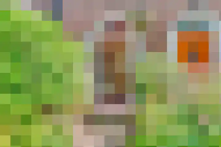 Moerbeilaan 41 Hilversum thumbnail 47
