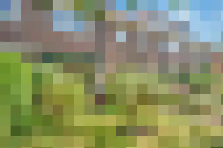 Moerbeilaan 41 Hilversum thumbnail 50