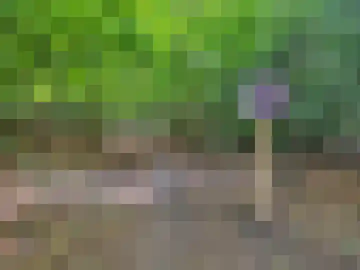 Moerbeilaan 41 Hilversum thumbnail 55