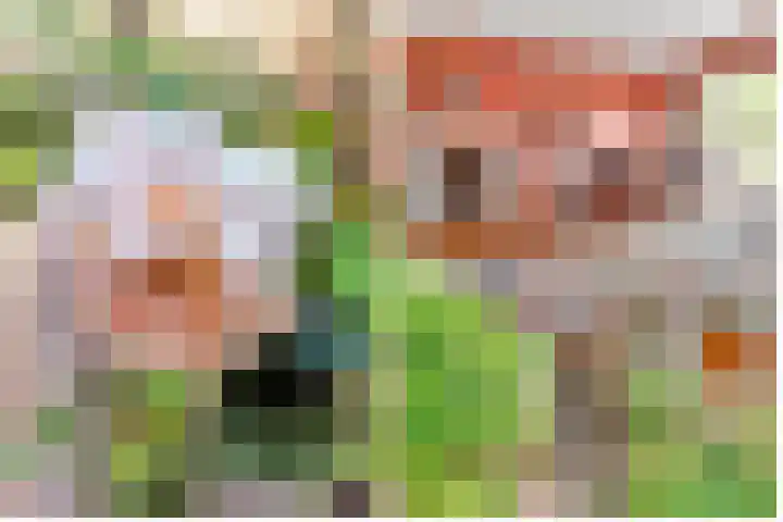 Moerbeilaan 41 Hilversum thumbnail 6