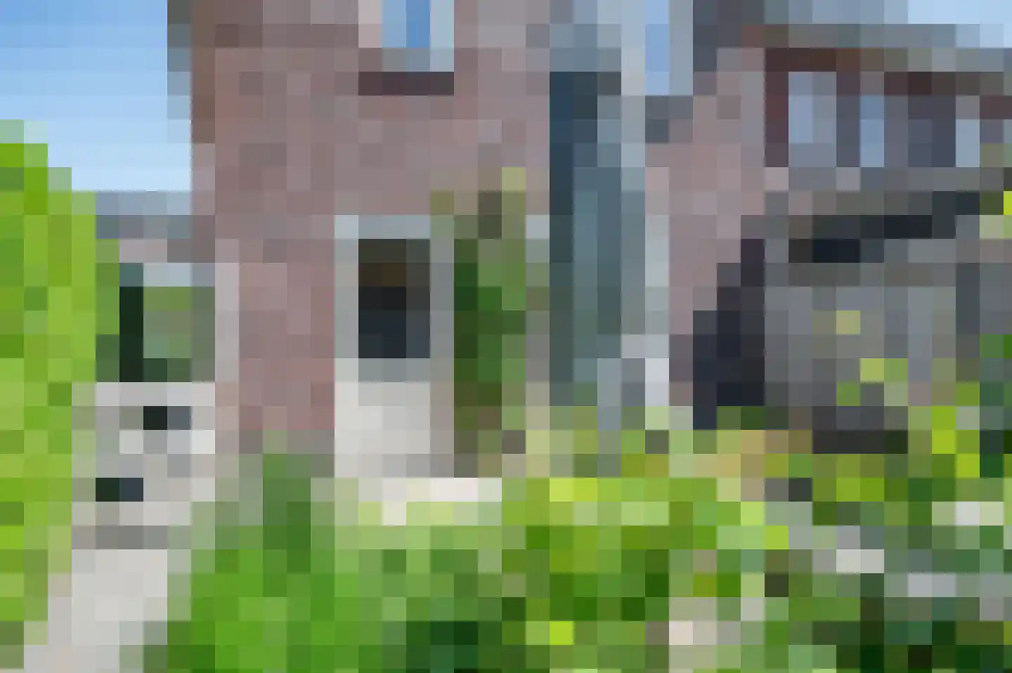 Moerbeilaan 51 Rouveen thumbnail 35
