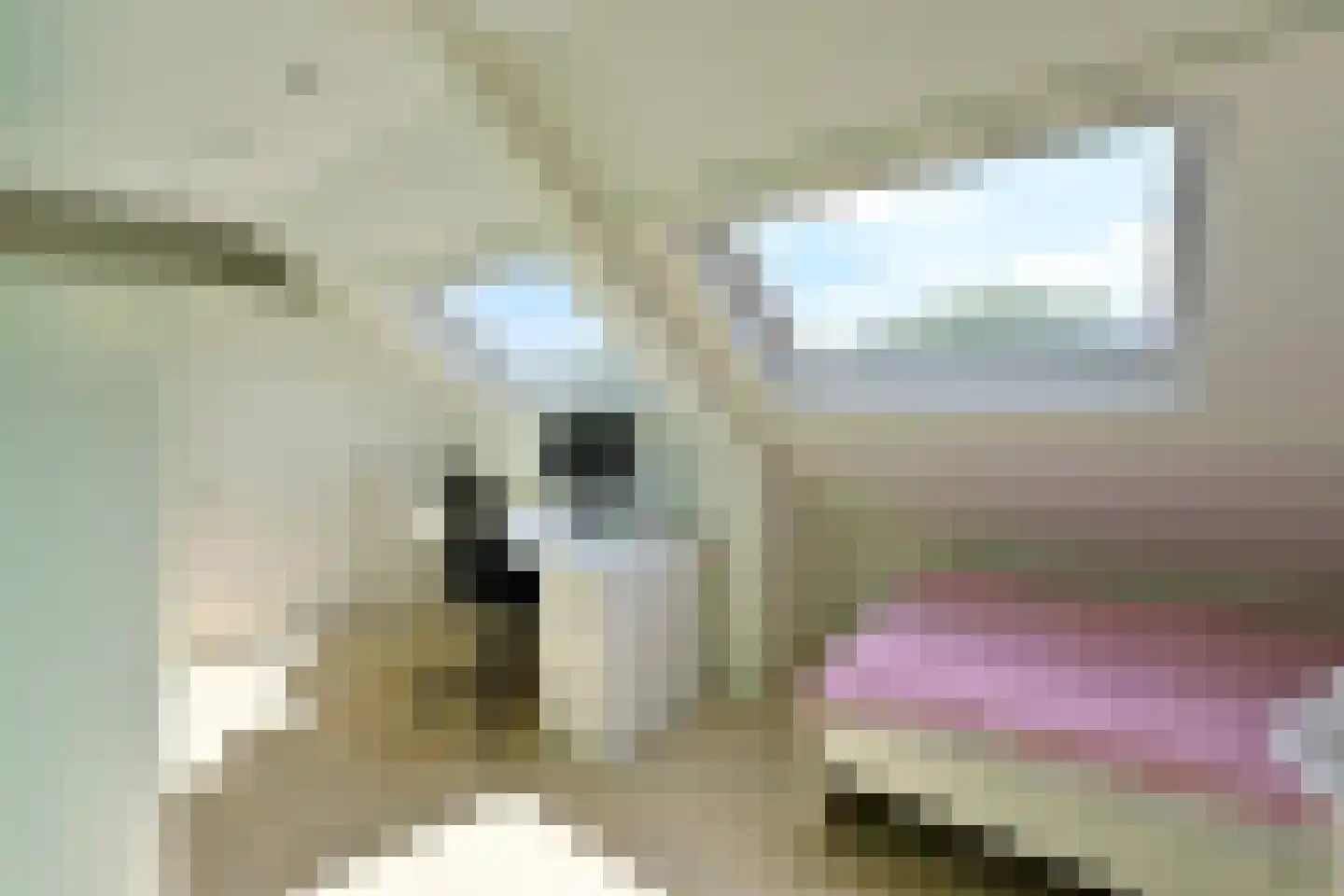 Moerbeilaan 52 Hilversum thumbnail 17