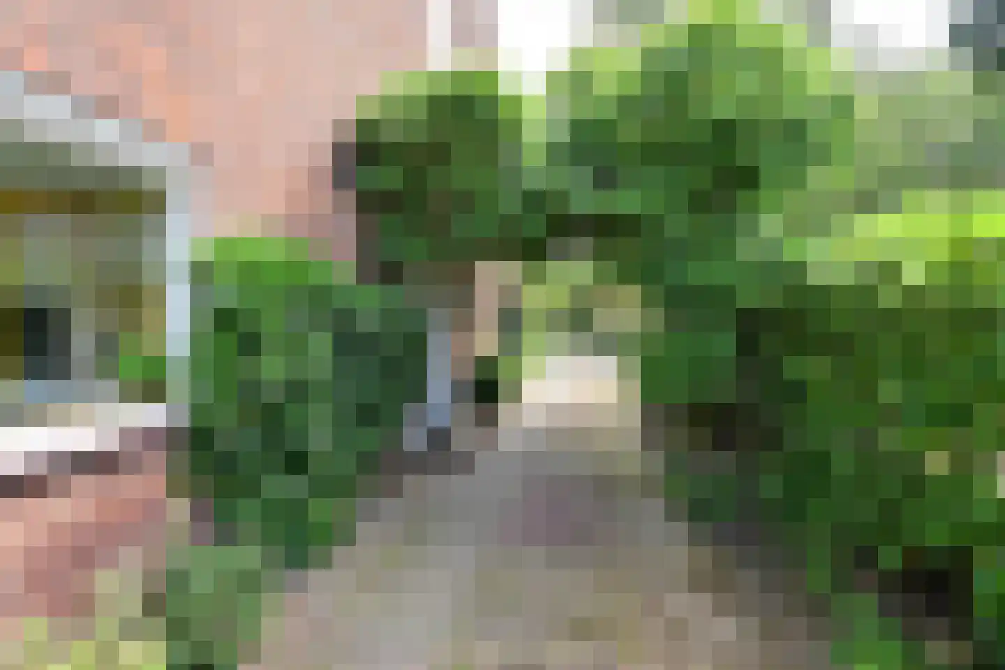 Moerbeilaan 52 Hilversum thumbnail 25
