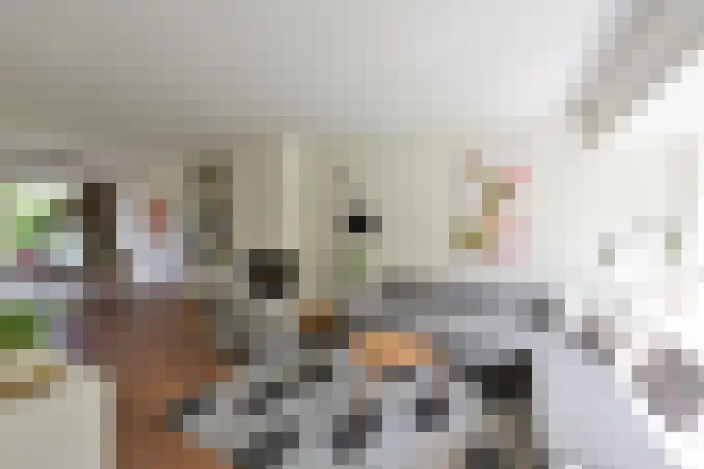 Moerbeilaan 52 Hilversum thumbnail 6