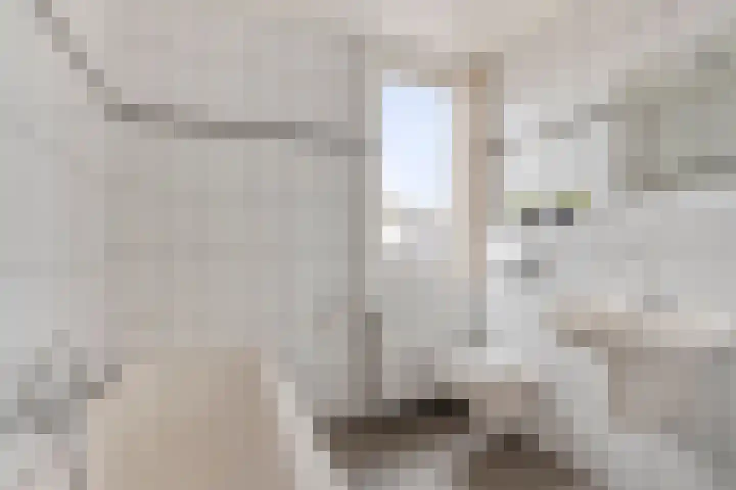 Moerbeilaan 6 Neer thumbnail 23