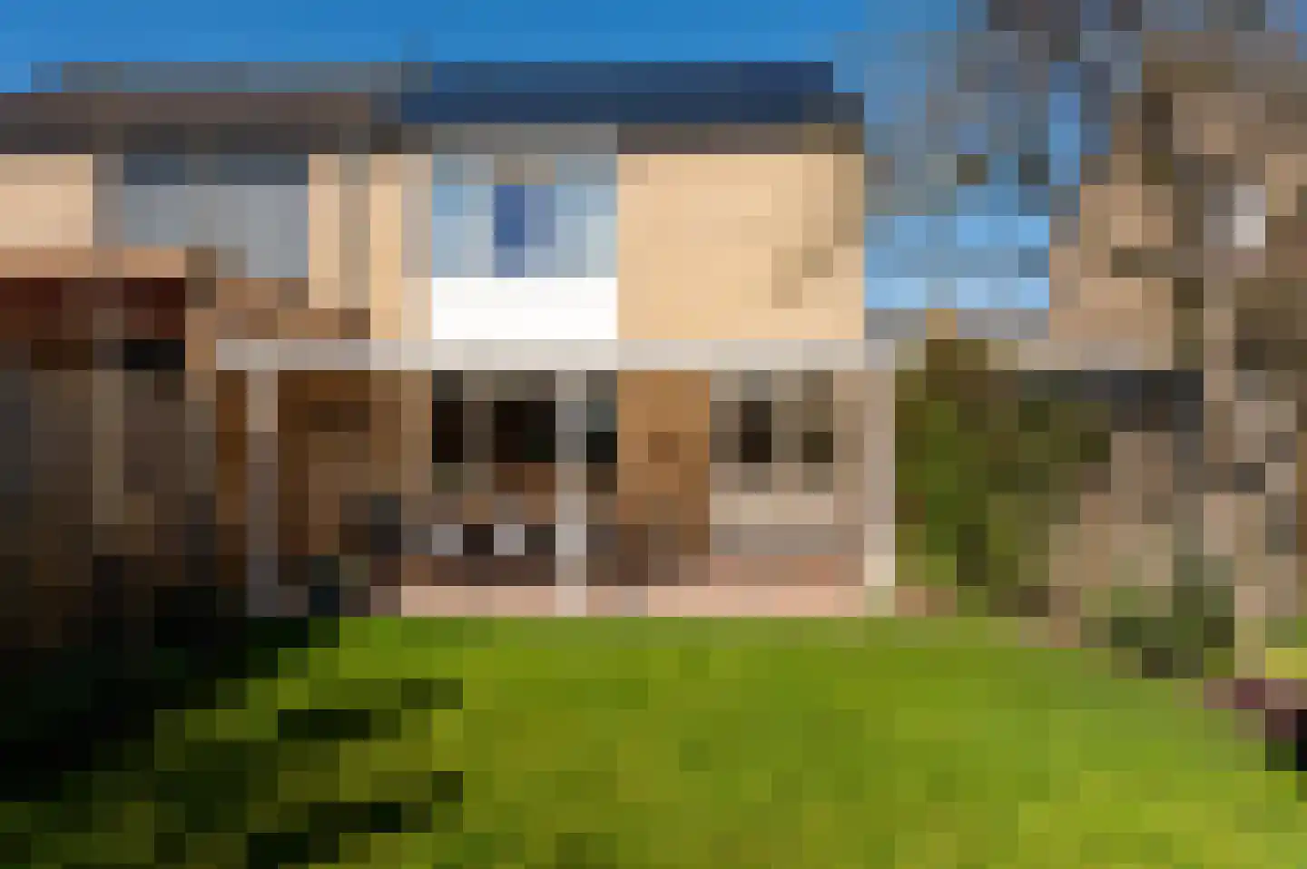 Moerbeilaan 6 Neer thumbnail 28