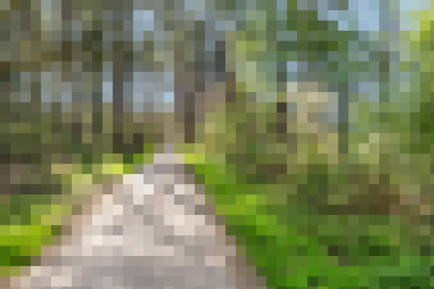Moerbeilaan 60 Hilversum thumbnail 22