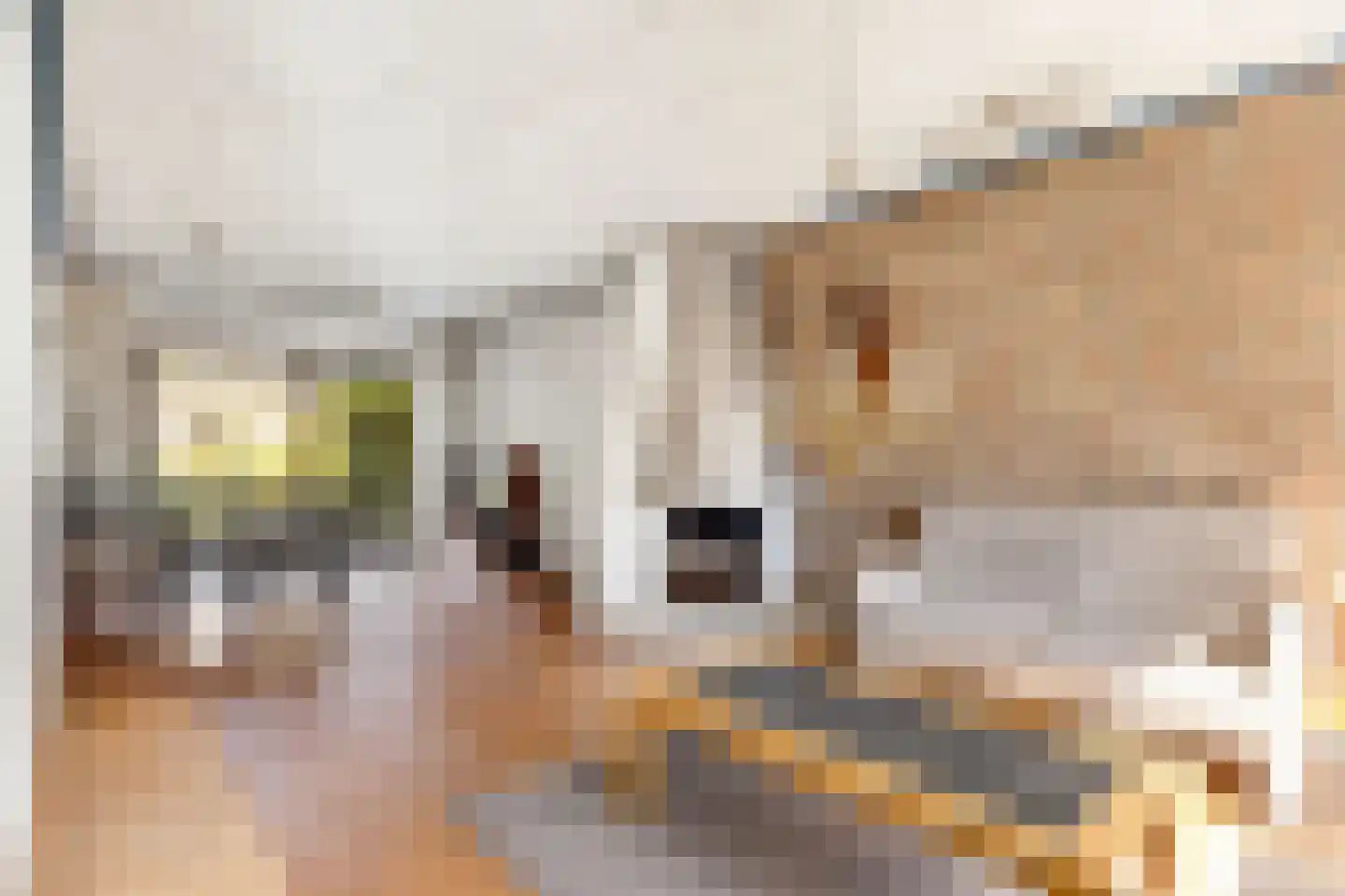 Moerbeilaan 60 Hilversum thumbnail 4