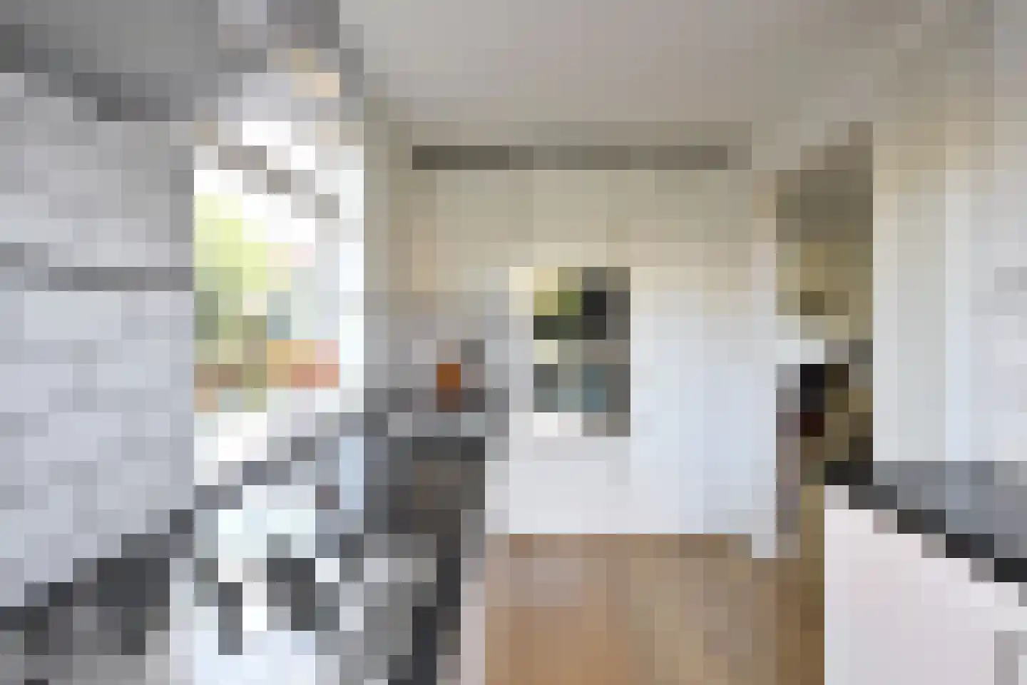 Moerbeilaan 70 Hilversum thumbnail 11